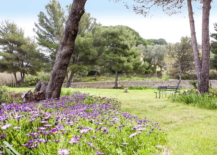 公寓 Podere San Marco 费拉约港