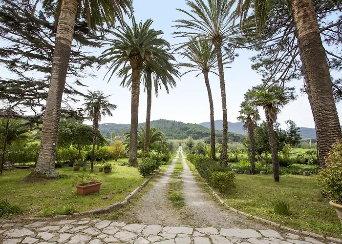 Podere San Marco 公寓 *