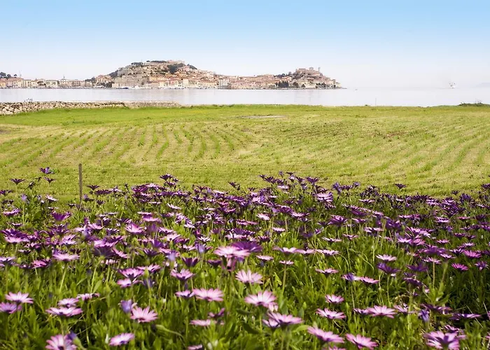 Podere San Marco * 费拉约港